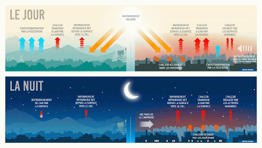 Schéma du processus de l'ilot de chaleur, comparant le phénomène la journée et la nuit, en ville et en campagne